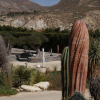 Blick ins Barranco Cactus Nijar Ausstellung 2016