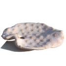 La tierra, el cielo, estrellas y hielo