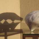 Beatle y su sombra Beatle y su sombra