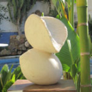 dos frutos dos frutos