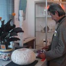 Exposición "Pura Naturaleza" Exposición "Pura Naturaleza"