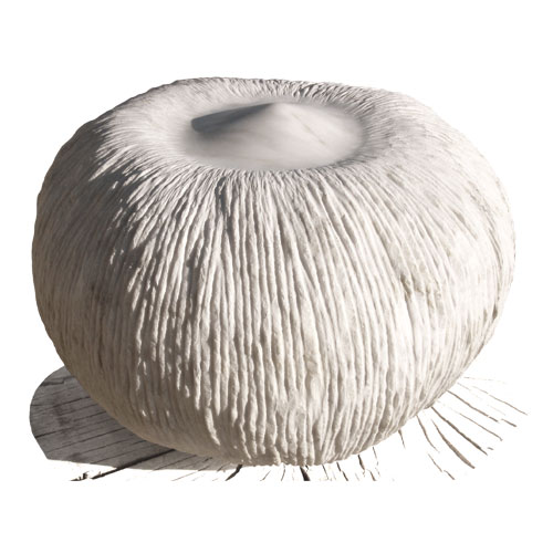 Alcabaza I Alcabaza I