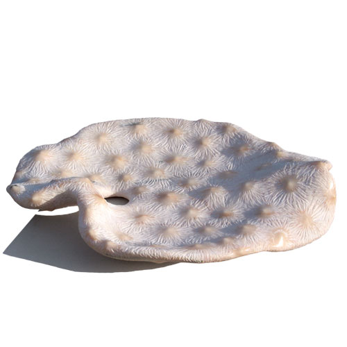 La tierra, el cielo, estrellas y hielo